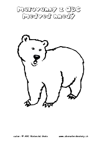 maľovanka medveď hnedý