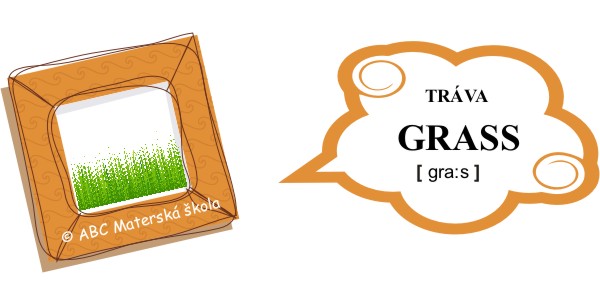 dovolenka v prírode - tráva - grass