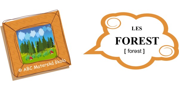 dovolenka v prírode - les - forest
