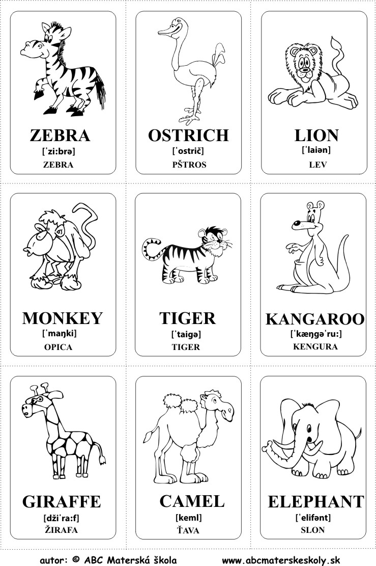 angličtina pre deti - obrázkové kartičky - zoo - exotické zvieratá