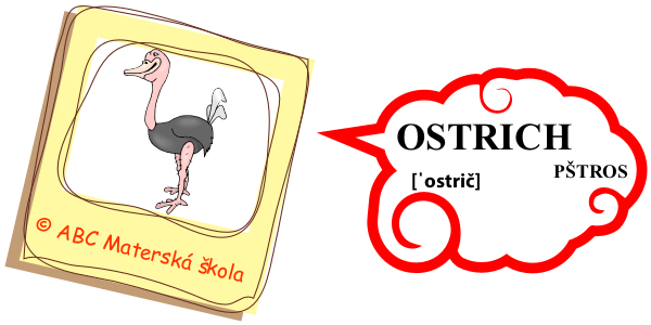 zoo pštros