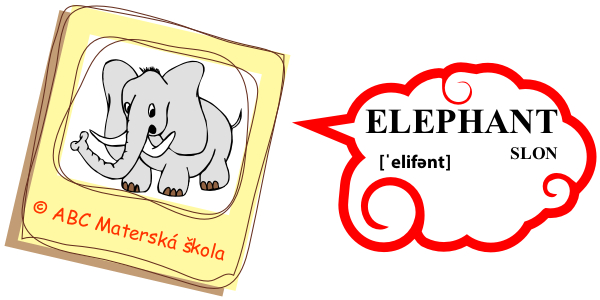 zoo slon