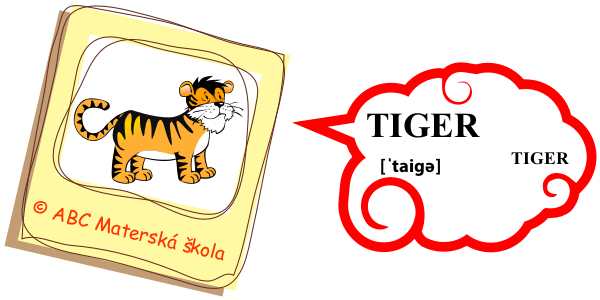zoo tiger
