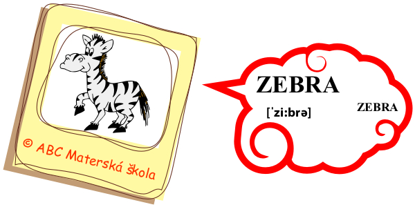 zoo zebra