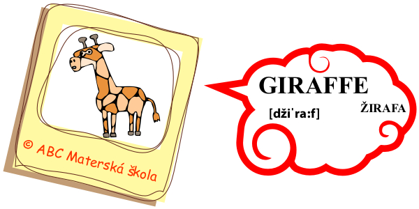 zoo žirafa