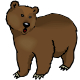 medveď hnedý