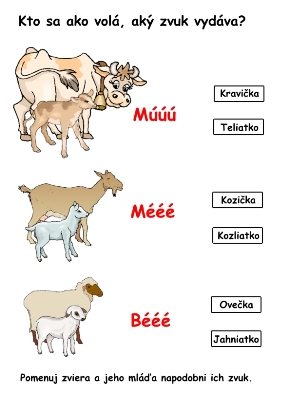 domáce zvieratá - pracovný list ABC materské školy