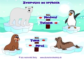 Zvieratká na kryhách - Tučniak, tuleň, mrož a ľadový medveď