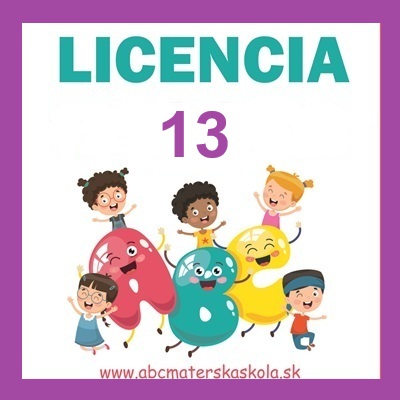 LICENCIA 13 + BONUS