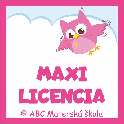 MAXI LICENCIA + 3x BONUS
