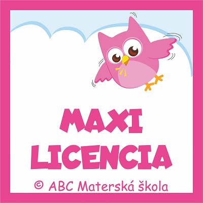 MAXI LICENCIA + 4x BONUS
