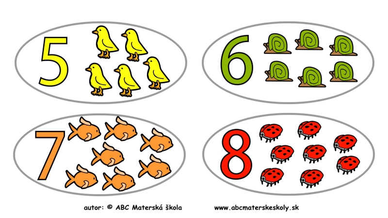počítame zvieratká - farebný pracovný list z ABC materská škola