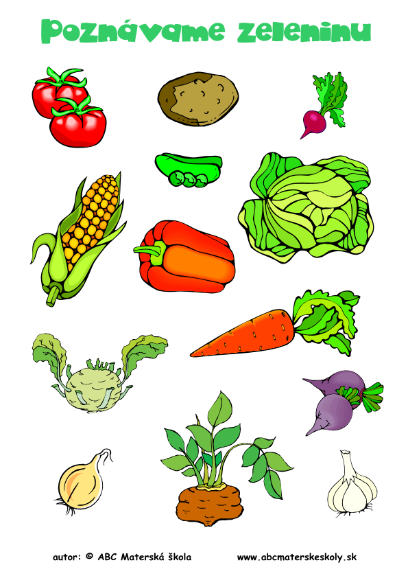 Poznávame zeleninu - Rozprávame a dopĺňame slovnú zásobu