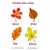 Prišla jeseň - Farebné listy stromov - 57 ks pre 5 detí predškolského veku - pracovné listy z ABC