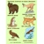 Chránené zvieratá 1.časť - Maľovanky 31 ks pre 5 detí predškolského veku z ABC materská škola